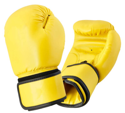 Boxing Gloves 4101