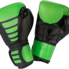 Boxing Gloves 4104