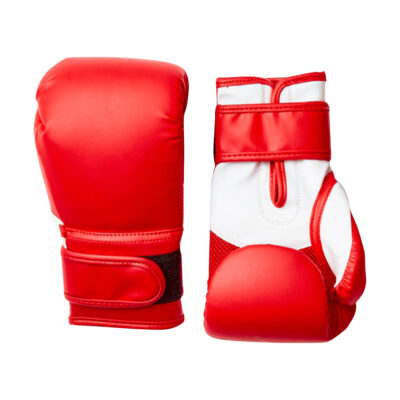 Boxing Gloves 4106